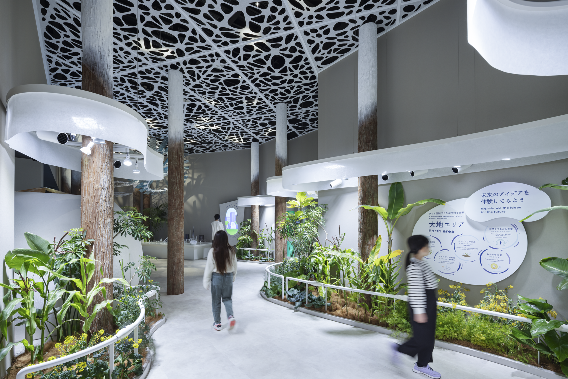 2025年日本国際博覧会　パナソニックグループパビリオン「ノモの国」6